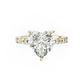 Heart Diamond With Under-Halo Settings Ring
