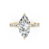 Marquise Diamond With Under-Halo Settings Ring