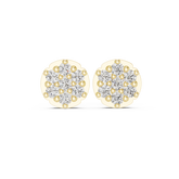 Elegant Round Diamond Cluster Studs Earring