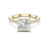 Princess Cut Hidden Halo and Pave Band Engagement Ring