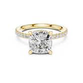 Cushion Cut Diamond Double Hidden Halo and Pave Engagement Ring