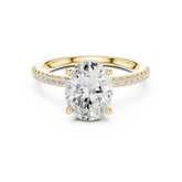 Oval Diamond Hidden Halo Engagement Ring