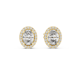 Oval Cut Diamond Halo Stud Earrings