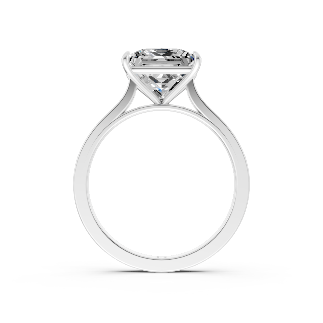 Princess Solitaire Cathedral Shank Ring