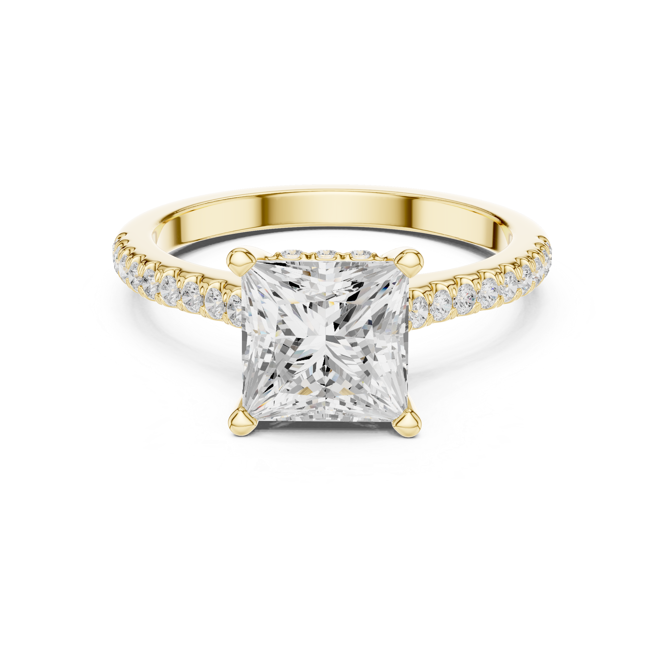 Princess Cut Hidden Halo and Pave Band Engagement Ring